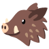 boar