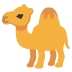 camel