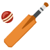 cricket_game