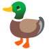 duck