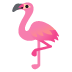 flamingo