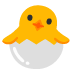 hatching_chick