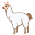 llama