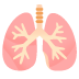 lungs