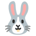 rabbit_face