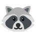 raccoon