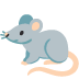 rat