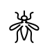 mosquito