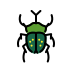 beetle