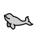 beluga