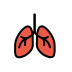 lungs