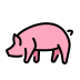 pig