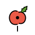 poppy