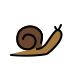 snail