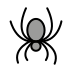 spider