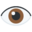 eye