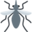 mosquito