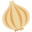 onion