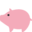 pig