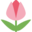 tulip